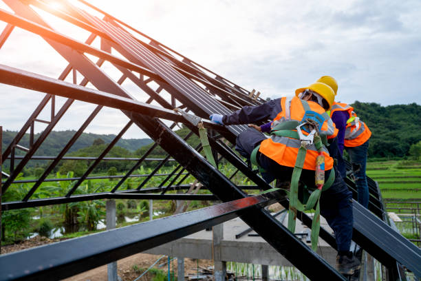 Best Residential Roof Replacement  in Holly Springs, GA