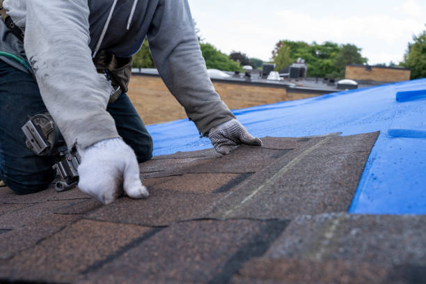 Best Flat Roof Repair Services  in Holly Springs, GA