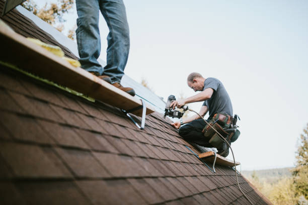 Professional Roofing Contractor in Holly Springs, GA